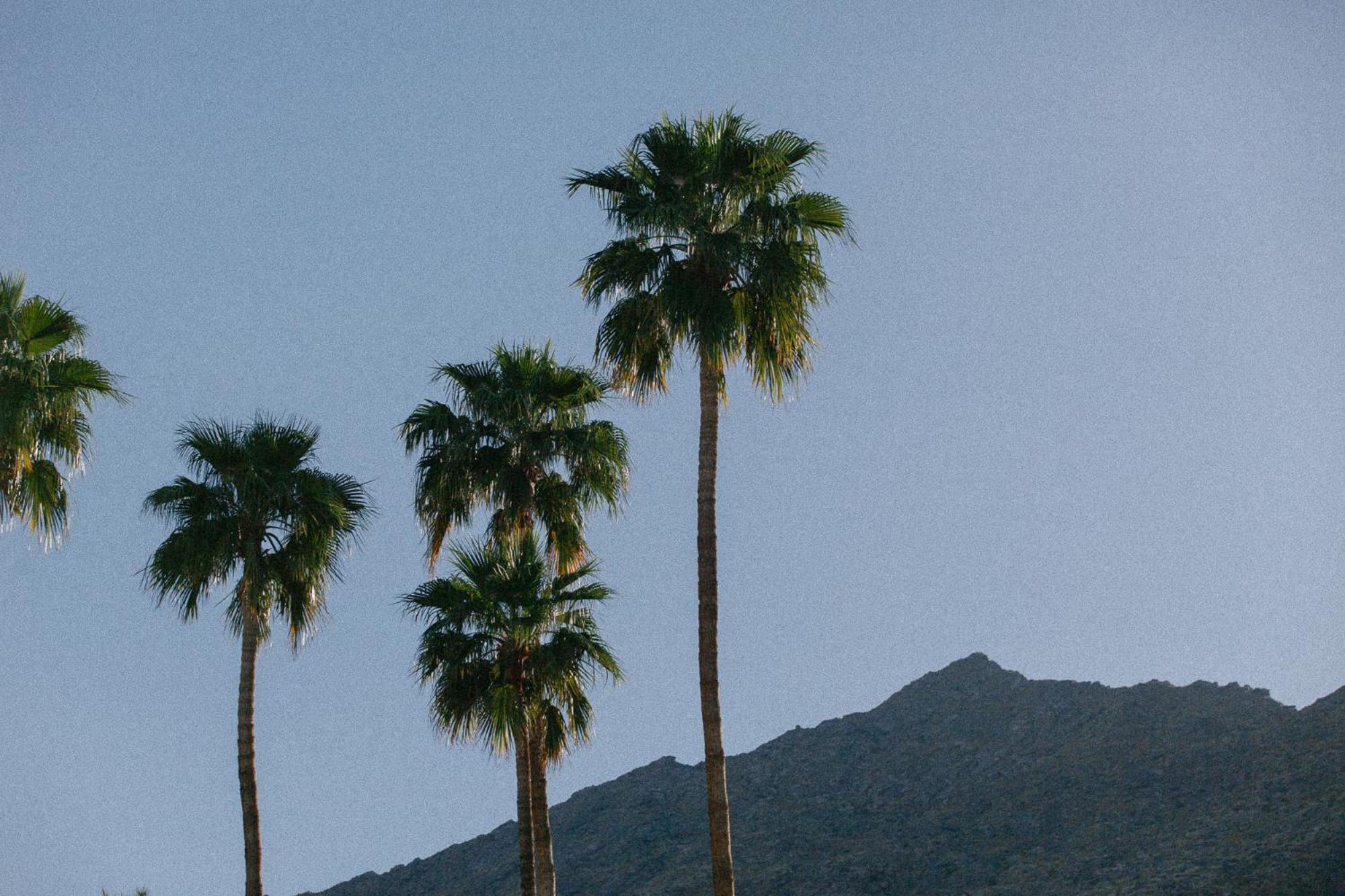 Yara Hotel - Adults Only Palm Springs Exterior foto